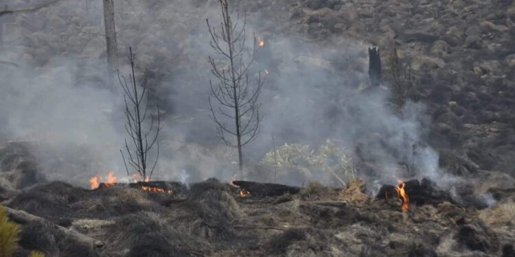 Brigadas luchan contra fuego en el Parque Nacional Valle Nuevo