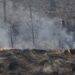 Brigadas luchan contra fuego en el Parque Nacional Valle Nuevo