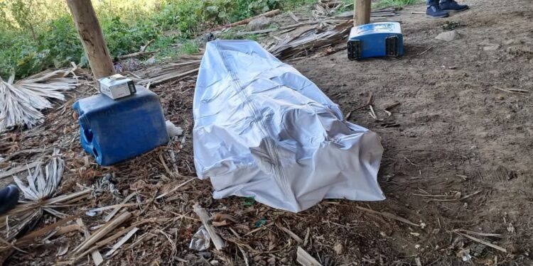 Encuentran hombre decapitado en San Victor Moca