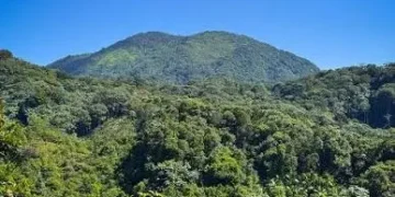 Parques Nacionales
