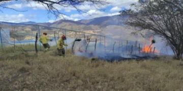 Incendios forestales