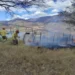 Incendios forestales