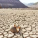 El planeta en ebullición