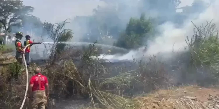 La Vega registra en apenas tres meses 170 fuegos forestales