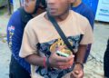 Migración reporta que el martes 16 se detuvieron 2,352 indocumentados el 14% en el Cibao Central