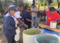 Salud Pública intensifica jornada de prevención contra el dengue en sectores de Dajabón