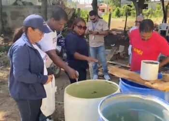 Salud Pública intensifica jornada de prevención contra el dengue en sectores de Dajabón