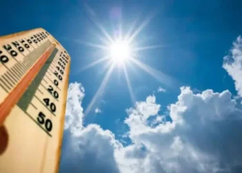 Indomet pronotica un viernes con mucho calor