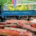 Medio Ambiente incauta troncos de caoba cortados ilegalmente en zona de Puerto Plata