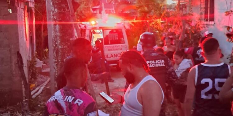 Muere hombre en Sosúa tras caer de un árbol mientras recolectaba castañas