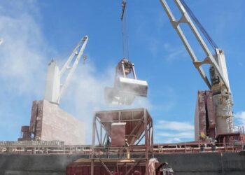 Denuncian afecciones respiratorias por el polvillo del maíz desembarcado en muelle de Puerto Plata