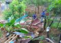 Medio Ambiente derriba casuchas construidas en áreas protegidas de Puerto Plata