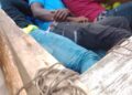 Detienen camioneta con tres haitianos ocultos debajo de carga de cítricos en Dajabón