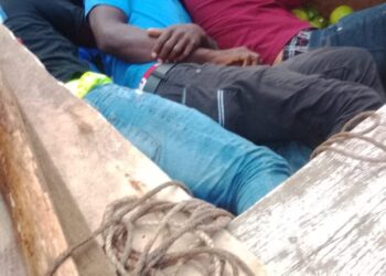 Detienen camioneta con tres haitianos ocultos debajo de carga de cítricos en Dajabón
