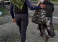 Migración intensifica operativos focalizados en Elías Piña y detiene a 1,382 extranjeros irregulares en todo el país