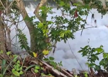 Preocupa parceleros de la Vigía densa columna de espuma blanca cubre río Masacre en Dajabón