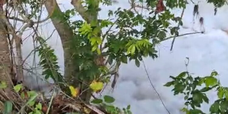 Preocupa parceleros de la Vigía densa columna de espuma blanca cubre río Masacre en Dajabón