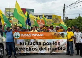 Frente Amplio exige protección para productores de arroz