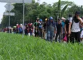 Más de 6,500 migrantes regresan por Panamá rumbo al sur tras no llegar a EE. UU.