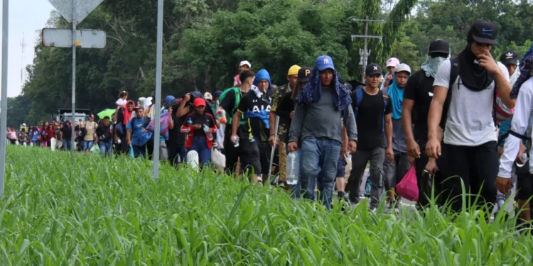 Más de 6,500 migrantes regresan por Panamá rumbo al sur tras no llegar a EE. UU.